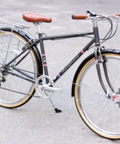 Xe Đạp California City 200